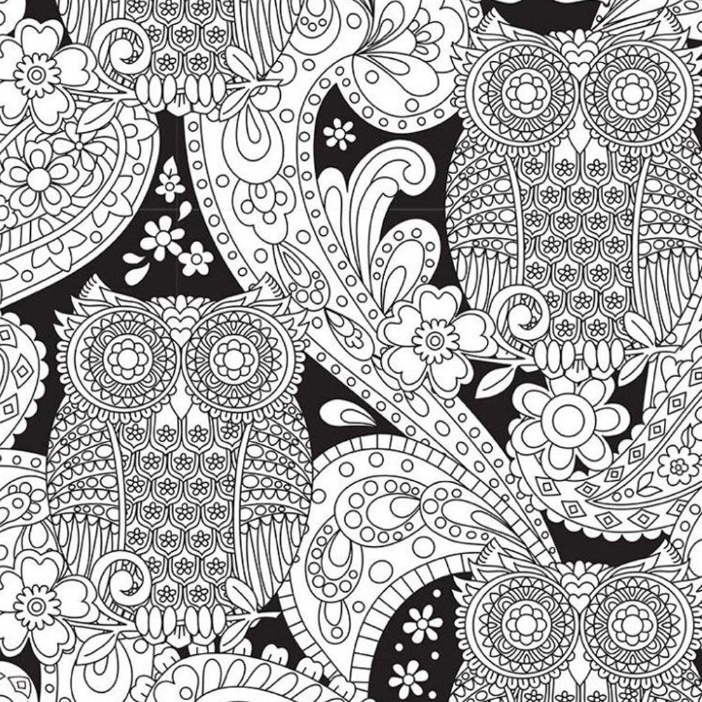 What a Hoot - Color Me Fabric - Michael Miller