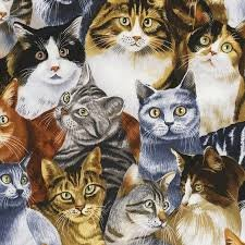 Cat Fabric - Packed Pets on Black -C5484 - Timeless Treasures
